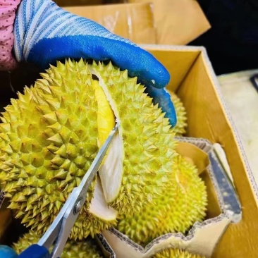 榴莲车厘子