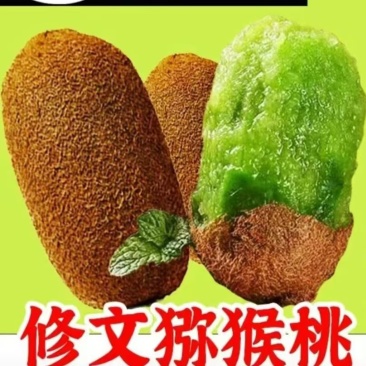 贵州修文猕猴桃