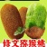 贵州修文猕猴桃