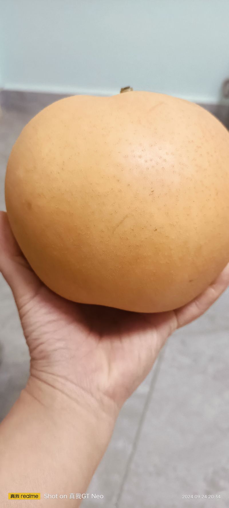 包金梨