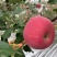庆阳苹果🍎