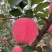 庆阳苹果🍎