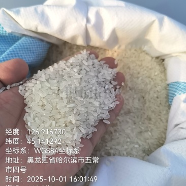 五常稻花香米水稻