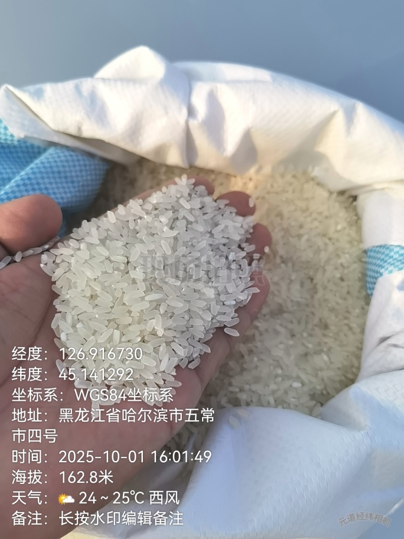 五常稻花香米水稻