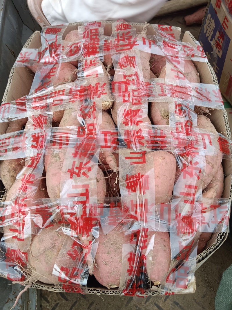 各类红薯地代办，价格透明，诚信为本