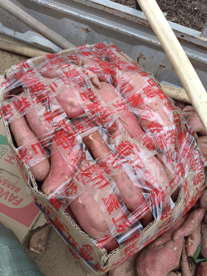 各类红薯地代办，价格透明，诚信为本