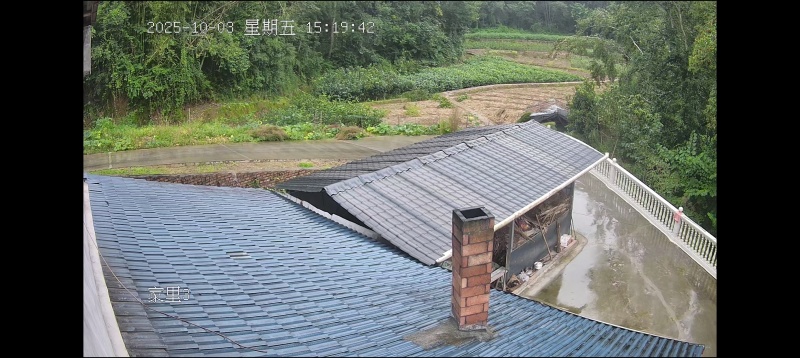 各种果树苗