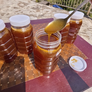 湘西土蜂蜜