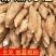 广西梧州藤县粉葛