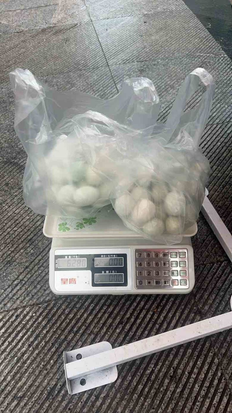 散养土鸡蛋
