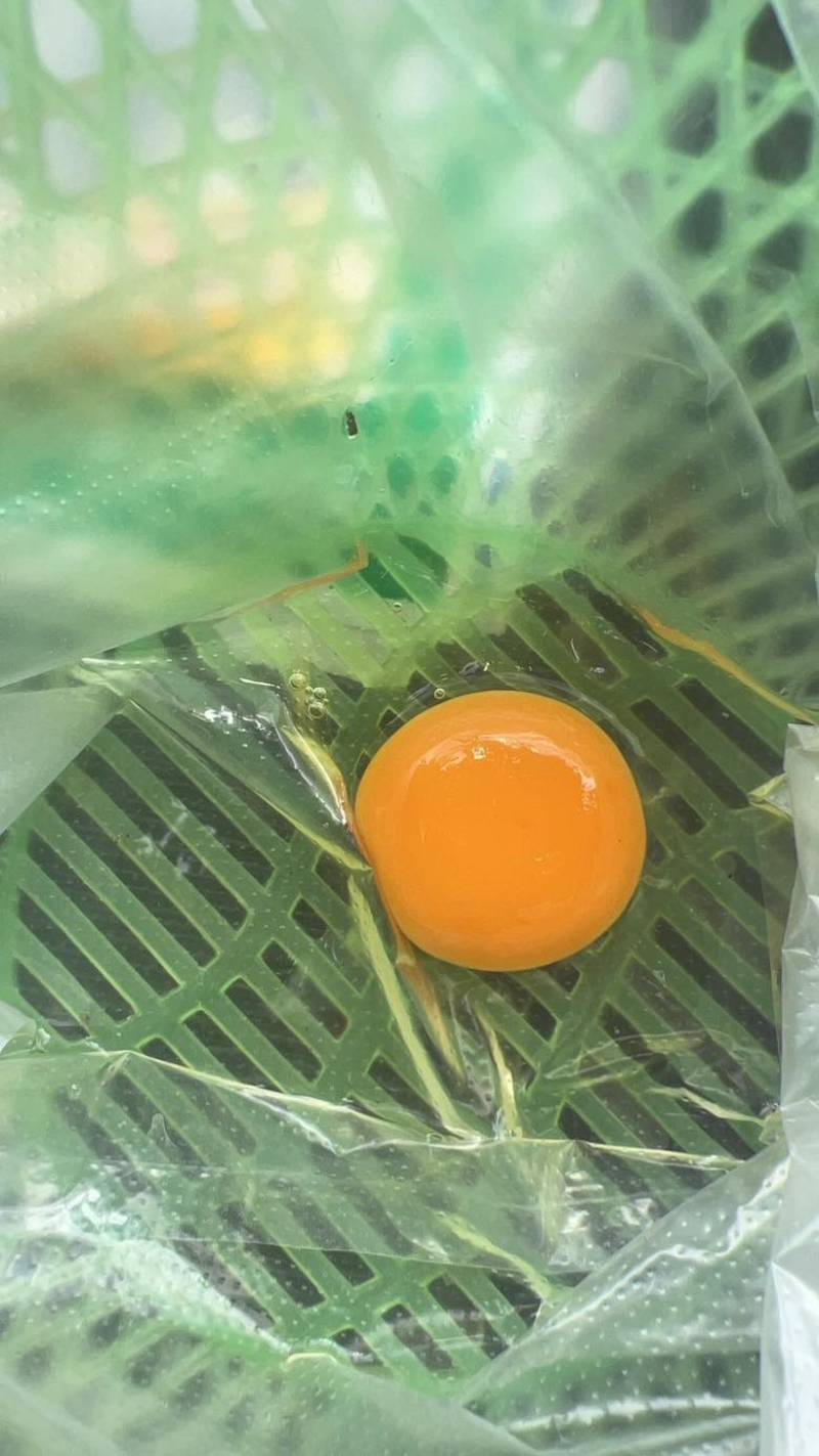 散养土鸡蛋