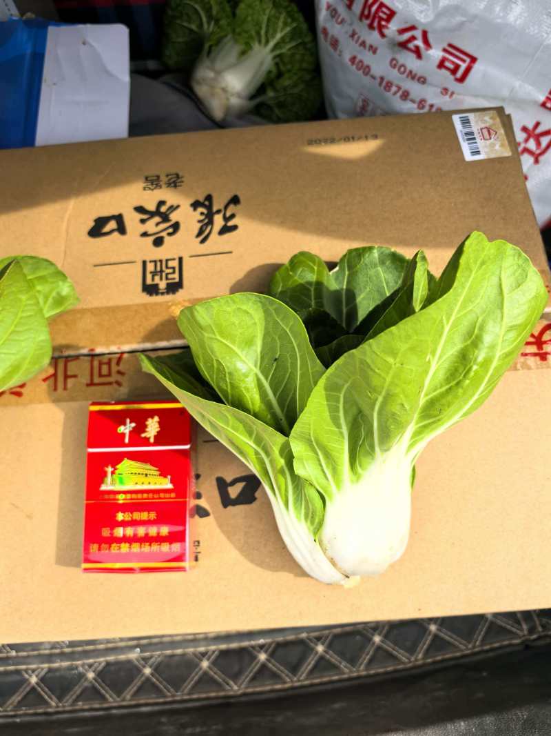 奶白菜