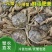 大闸蟹大小规格齐全基地直销