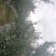 静宁山地红富士苹果，
