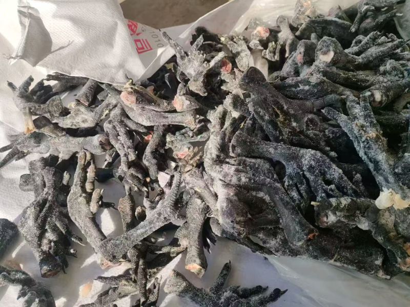 乌鸡爪30克左右的厂家直销价格实惠售后无忧