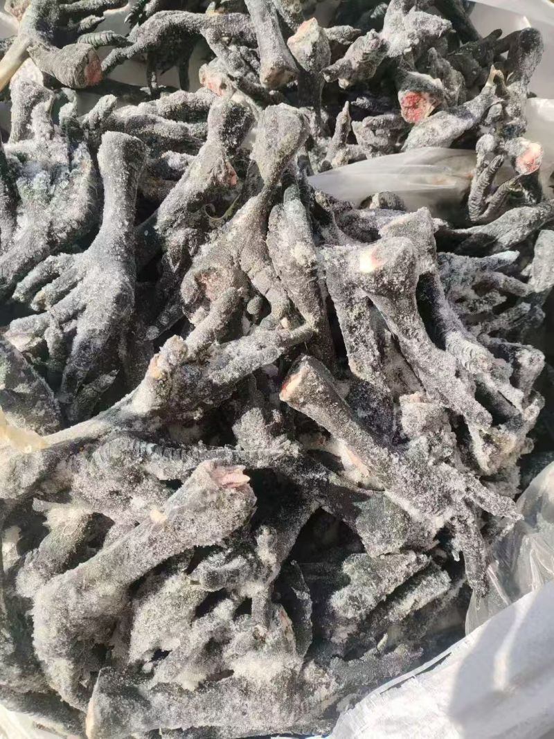 乌鸡爪30克左右的厂家直销价格实惠售后无忧