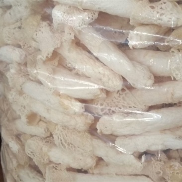 贵州红托竹荪