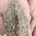 草籽谷糠