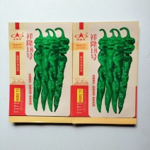 祥隆18号，辣椒，1000粒110元