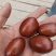 和田灰枣，4块一斤，