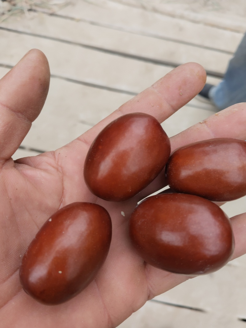 和田灰枣，4块一斤，