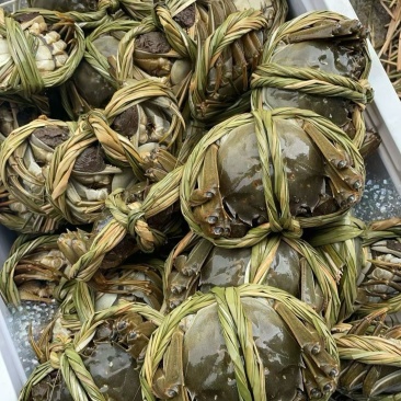 我只做精品大闸蟹