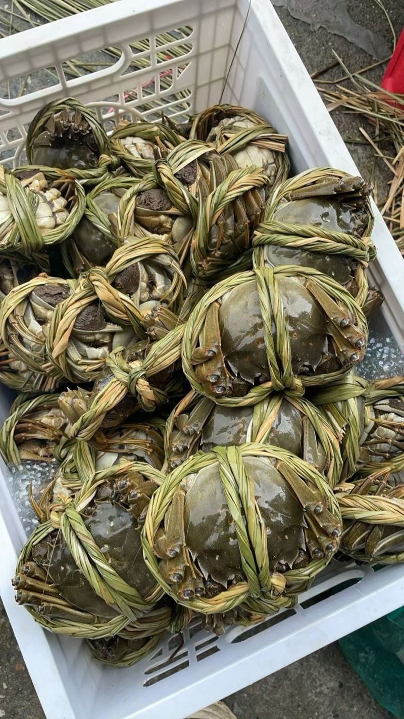 我只做精品大闸蟹