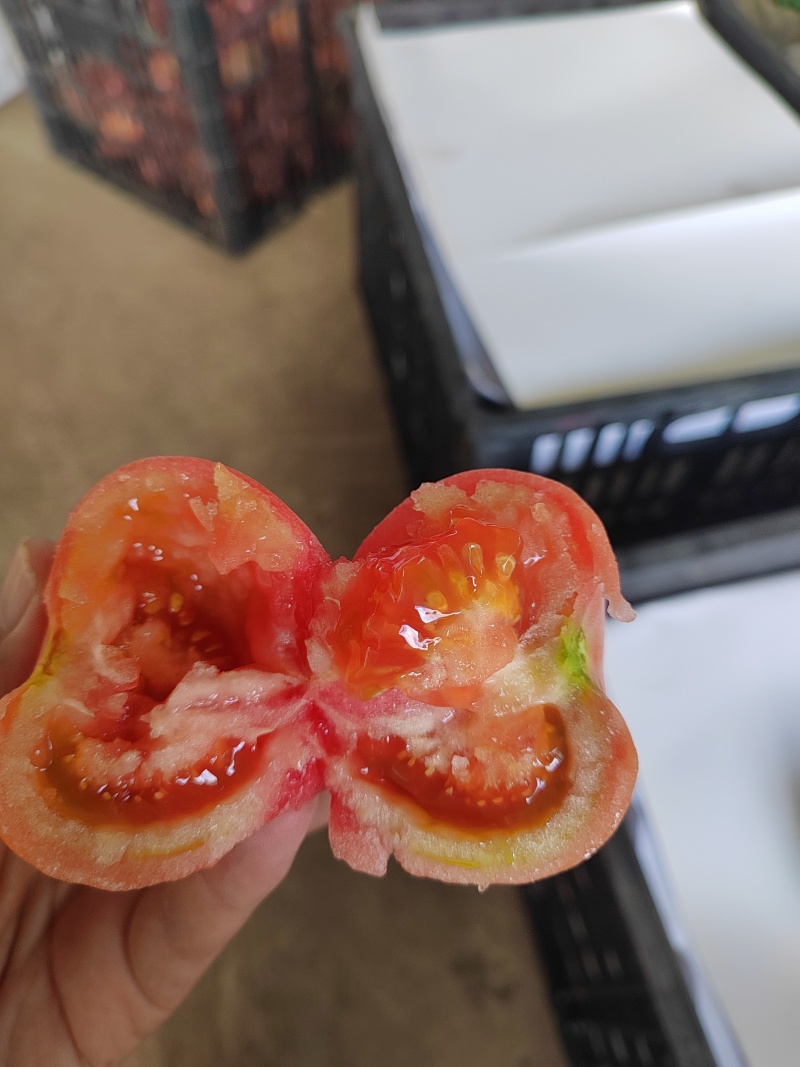 番茄
