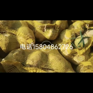 辣菜旮瘩，榨菜
