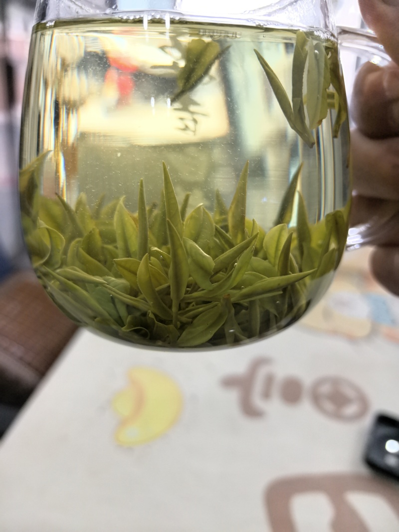 安吉白茶