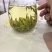 2025年高山安吉白茶头采头芽
