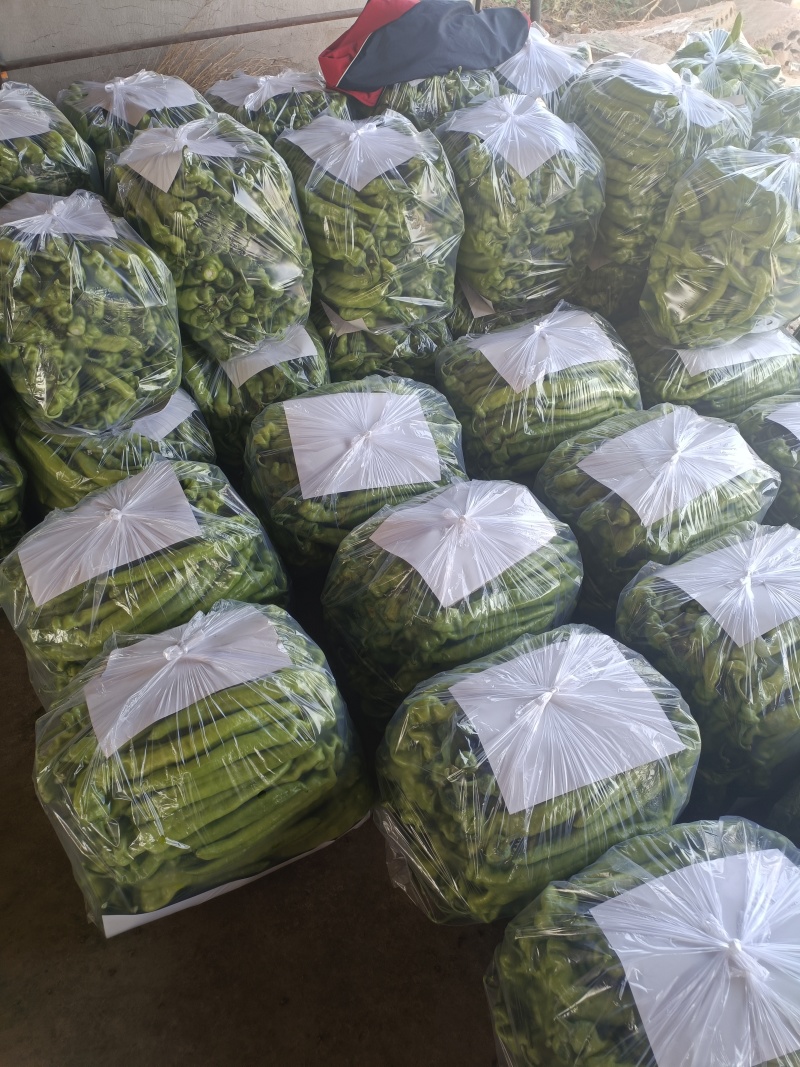 大量上市各种辣椒***********