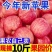 陕西苹果