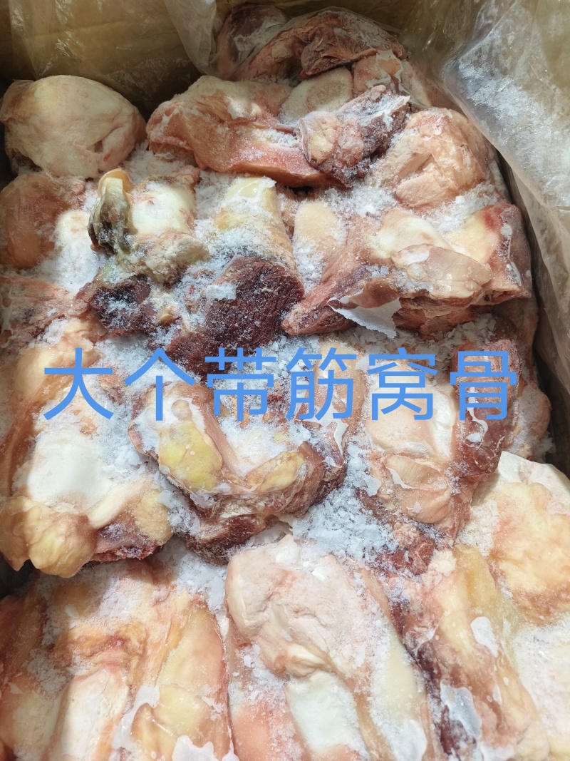 大个带筋窝骨
