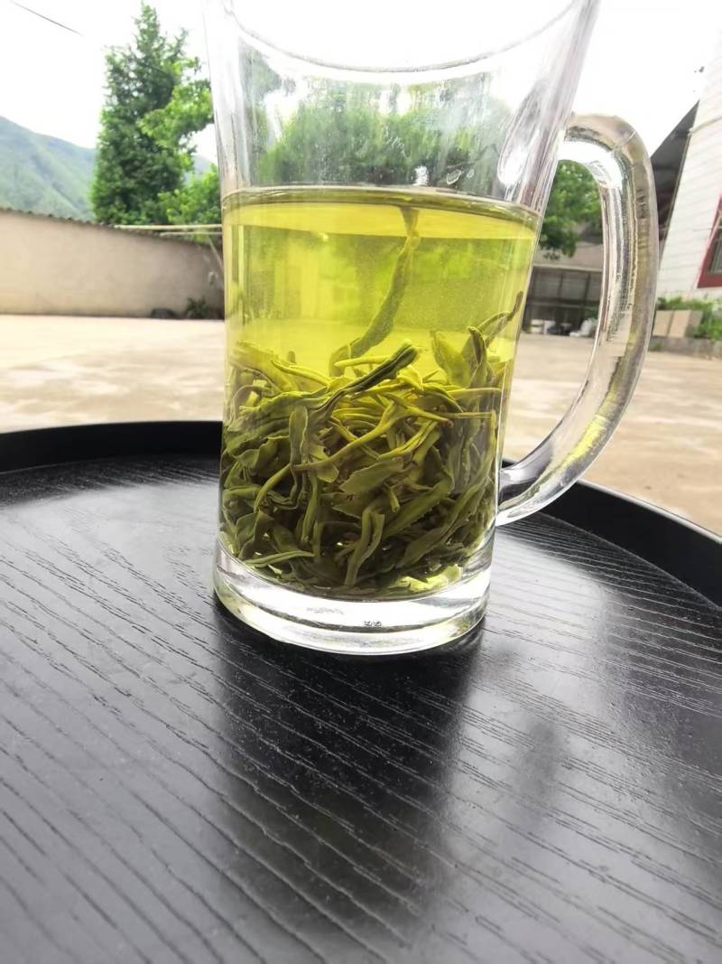 手工揉捻安吉白茶