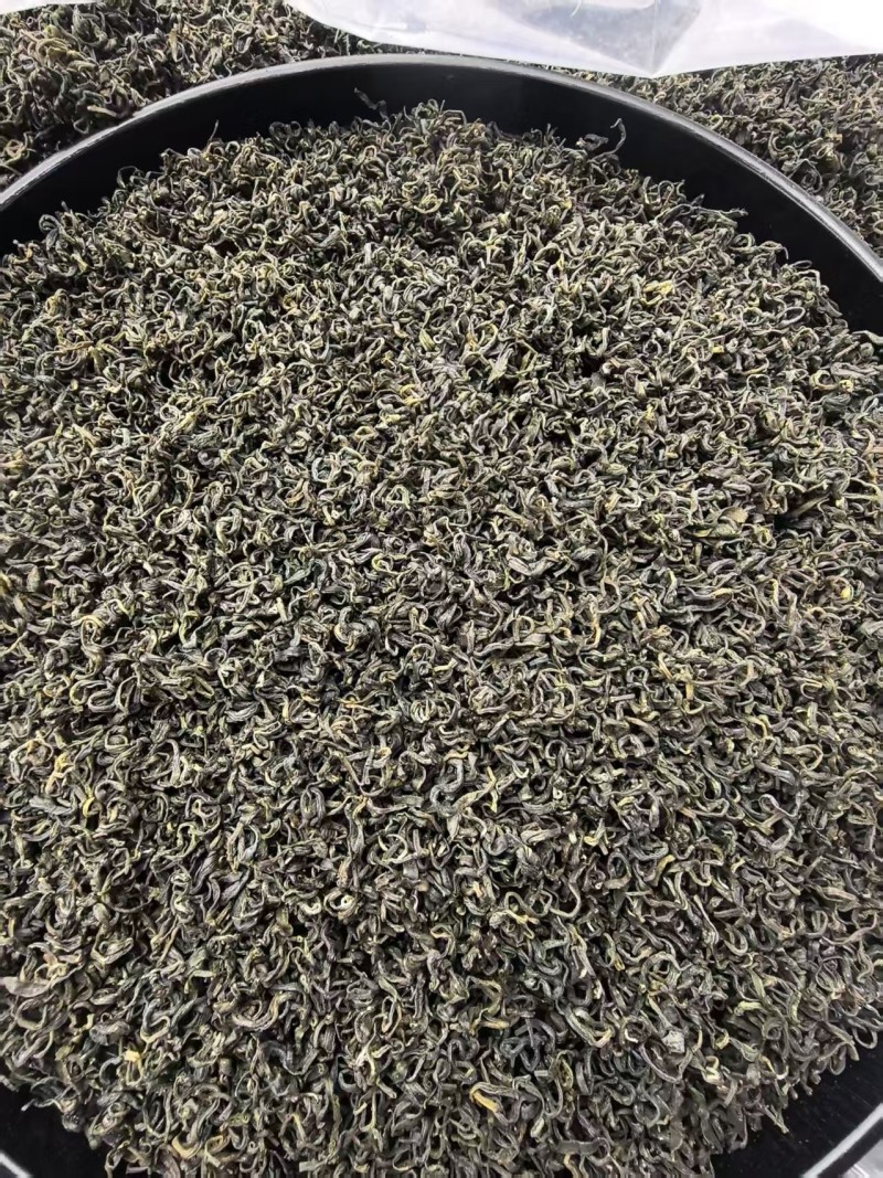 手工揉捻安吉白茶
