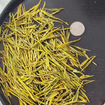 黄金芽、黄金叶口粮茶