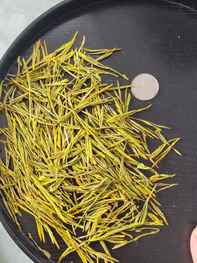黄金芽、黄金叶口粮茶