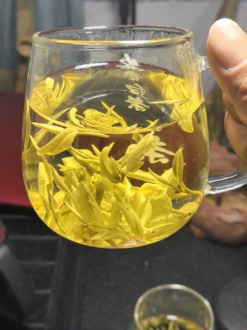 黄金芽、黄金叶口粮茶