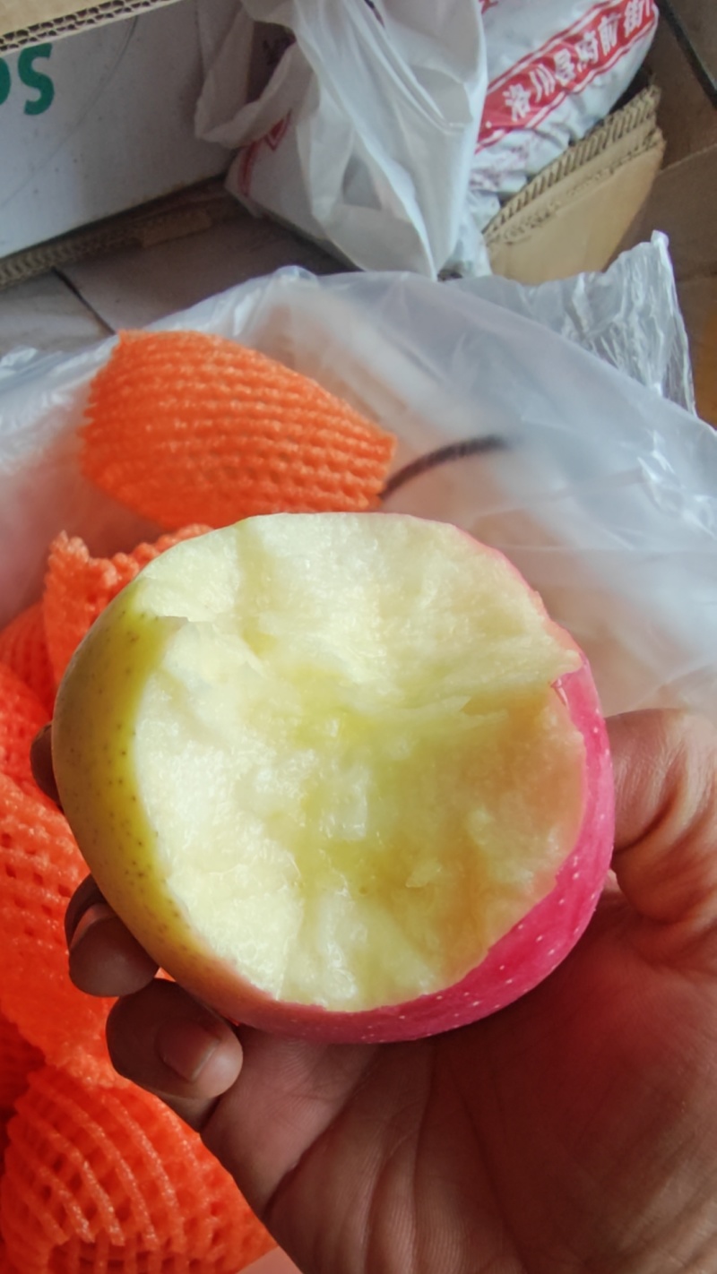 陕西省洛川明月苹果
