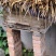 纯土蜂蜜