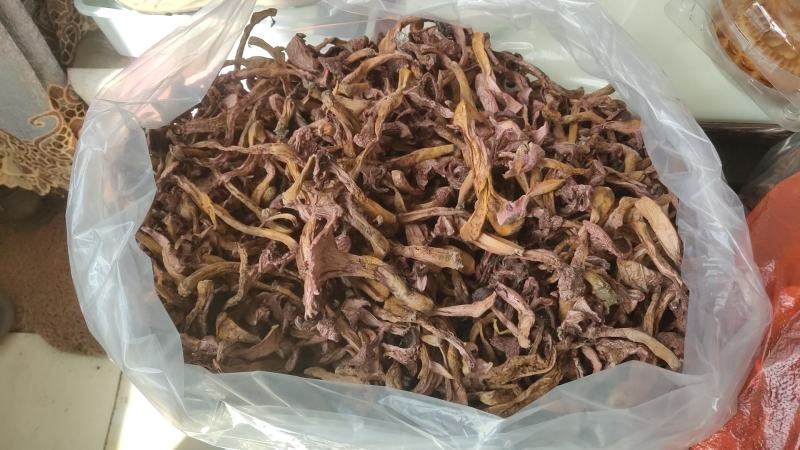野生蘑菇