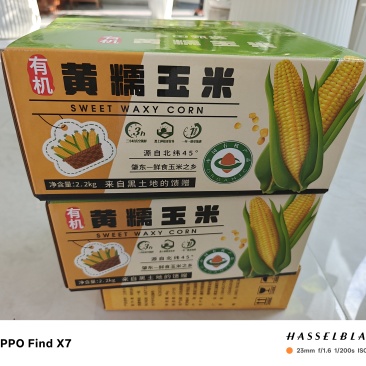 有机小米，大米，鲜食玉米，杂粮