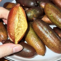 手指柠檬