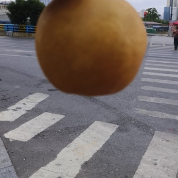 贵州修文金秋梨🍐