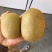 猕猴桃🥝