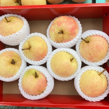 平谷佛见喜梨
