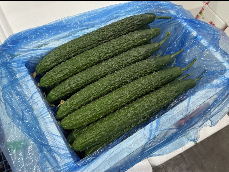 云南密刺黄瓜上市干花带刺