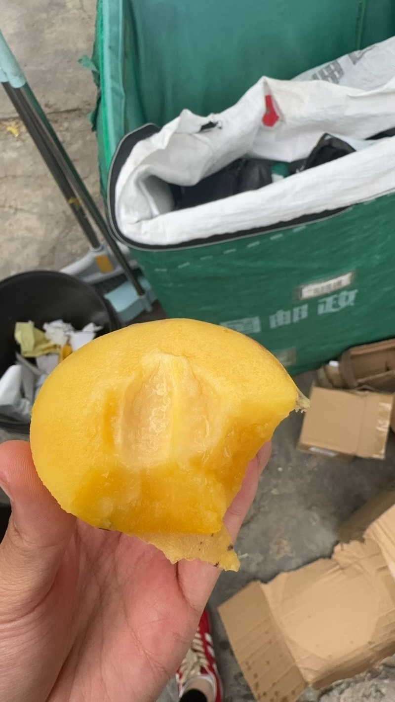 云南石林人参果