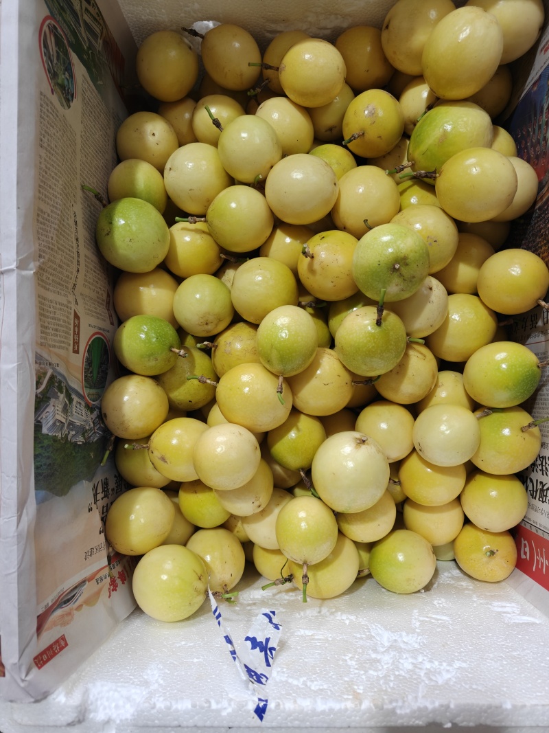 黄金百香果